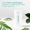 image:imageNative Aluminum Free Deodorant Desert Grass amp Sandalwood Large Size Stick 72 Hour Odor Control for Women amp Men Contains Naturally Derived Ingredients 31 ozPalm Leaf  Agave