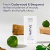 image:imageNative Aluminum Free Deodorant Desert Grass amp Sandalwood Large Size Stick 72 Hour Odor Control for Women amp Men Contains Naturally Derived Ingredients 31 ozCedarwood  Bergamot