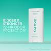 image:imageNative Aluminum Free Deodorant Desert Grass amp Sandalwood Large Size Stick 72 Hour Odor Control for Women amp Men Contains Naturally Derived Ingredients 31 ozPalm Leaf  Agave