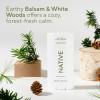 image:imageNative Aluminum Free Deodorant Desert Grass amp Sandalwood Large Size Stick 72 Hour Odor Control for Women amp Men Contains Naturally Derived Ingredients 31 ozBalsam  White Woods
