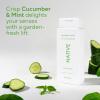 image:imageNative Body Wash Contains Naturally Derived Ingredients  For Women amp Men Sulfate Paraben amp Dye Free Leaving Skin Soft and Hydrated  Sea Salt amp Cedar 18 ozCucumber  Mint