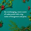 image:imageNative Body Wash Holiday Edition Holiday Gumdrop Scent Contains Naturally Derived Ingredients  For Women amp Men Sulfate Paraben amp Dye Free Leaving Skin Soft and Hydrated  18 ozFresh Mistletoe