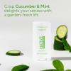 image:imageNative Whole Body Deodorant Cream Contains Naturally Derived Ingredients Deodorant for Women amp Men  72 Hour Odor Protection Aluminum Free with Coconut Oil and Shea Butter  Cucumber amp MintCucumber  Mint