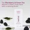 image:imageNative Deodorant Contains Naturally Derived Ingredients 72 Hour Odor Control Deodorant for Women and Men Aluminum Free Cashmere amp Rain 265ozBlackberry  Green Tea