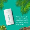 image:imageNative Deodorant Contains Naturally Derived Ingredients 72 Hour Odor Control Deodorant for Women and Men Aluminum Free Cashmere amp Rain 265ozPalm Leaf  Agave
