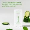 image:imageNative Deodorant Contains Naturally Derived Ingredients 72 Hour Odor Control Deodorant for Women and Men Aluminum Free Charcoal 265ozCucumber  Mint