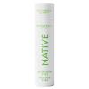 Cucumber & Mint