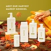image:imageNative Hair amp Body Care Set  Honey Crisp amp Cider  Sulfate Free Shampoo Strengthening Conditioner amp SkinLoving Body Wash  Naturally Derived Ingredients  3Piece BundleAutumn Air