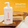 image:imageNative Hair amp Body Care Set  Honey Crisp amp Cider  Sulfate Free Shampoo Strengthening Conditioner amp SkinLoving Body Wash  Naturally Derived Ingredients  3Piece BundleHoneysuckle
