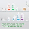 image:imageNative Hydrating Facial Moisturizer for Dry Skin Silicone Free Fragrance Free with Vitamin B3 and Shea Butter Dermatologist Tested 17ozGentle